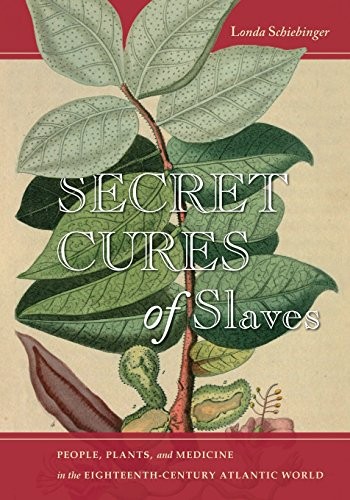 Secret Cures of Slaves
