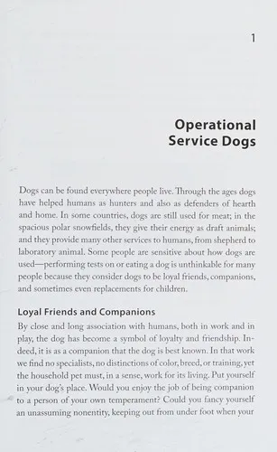 K9 Behavior Basics