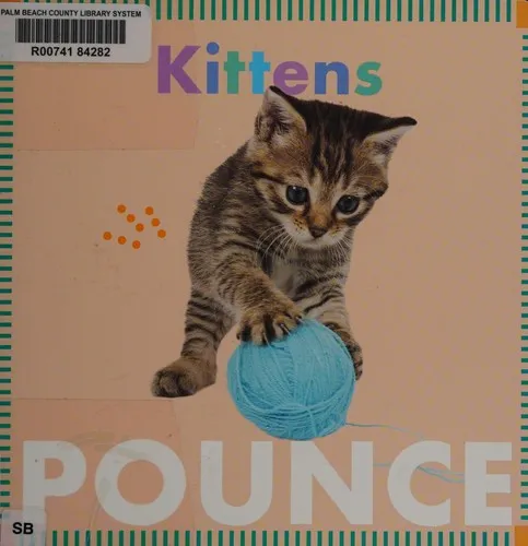 Kittens Pounce