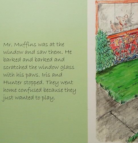 The Adventures of Mr. Muffins