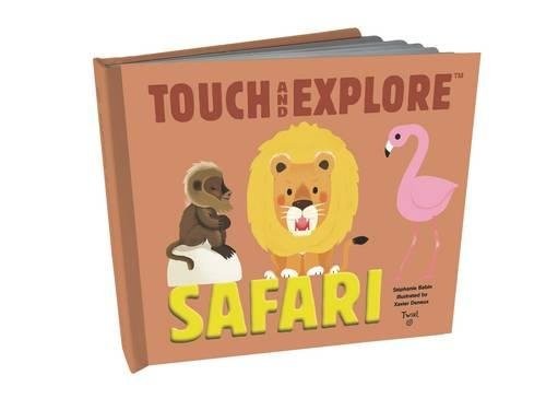 Touch and Explore