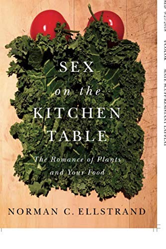 Sex on the Kitchen Table