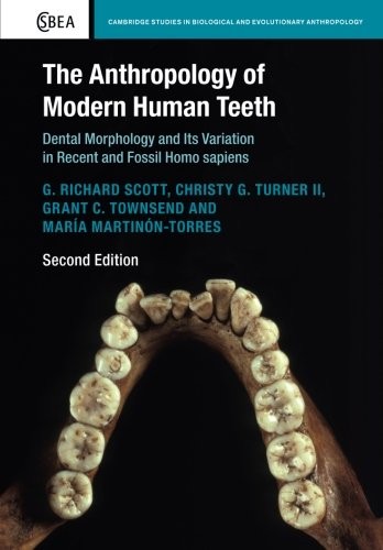 The Anthropology of Modern Human Teeth