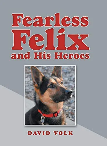 Fearless Felix and His Heroes