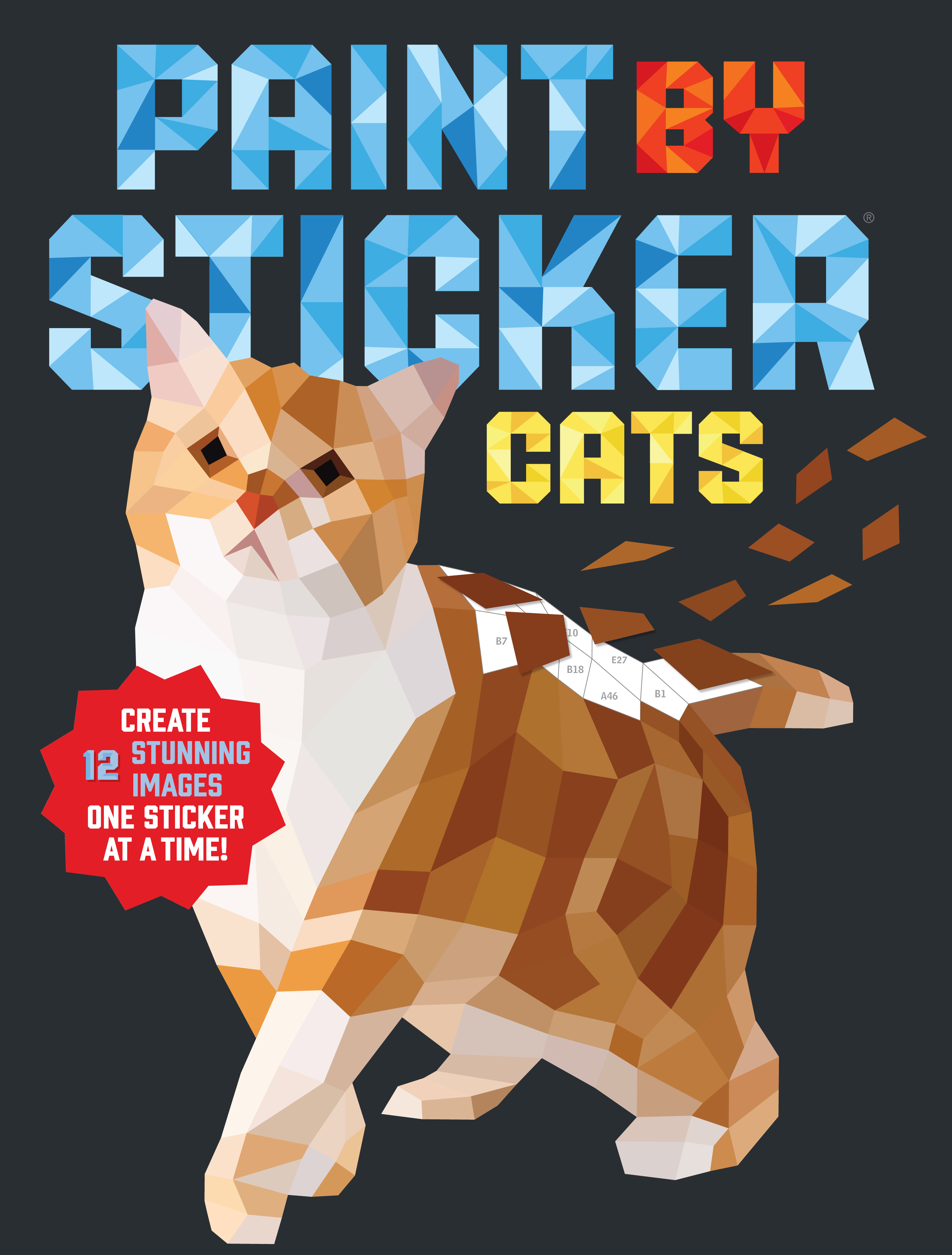 Paint by Sticker