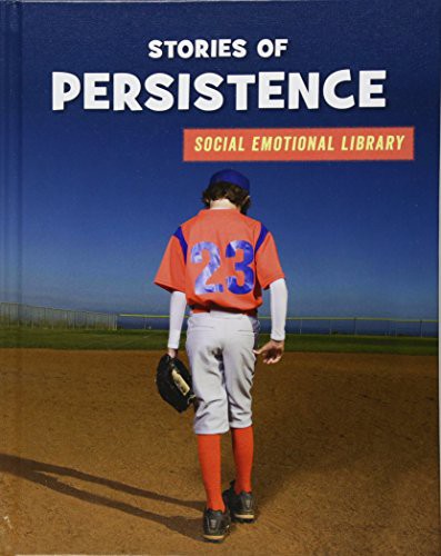 Stories of Persistence