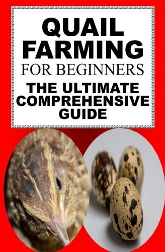 Quail Farming For Beginners