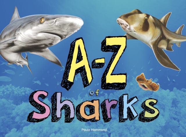 A–Z of Sharks