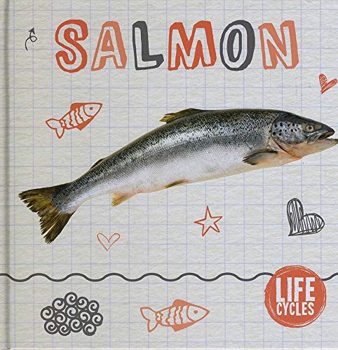 Salmon