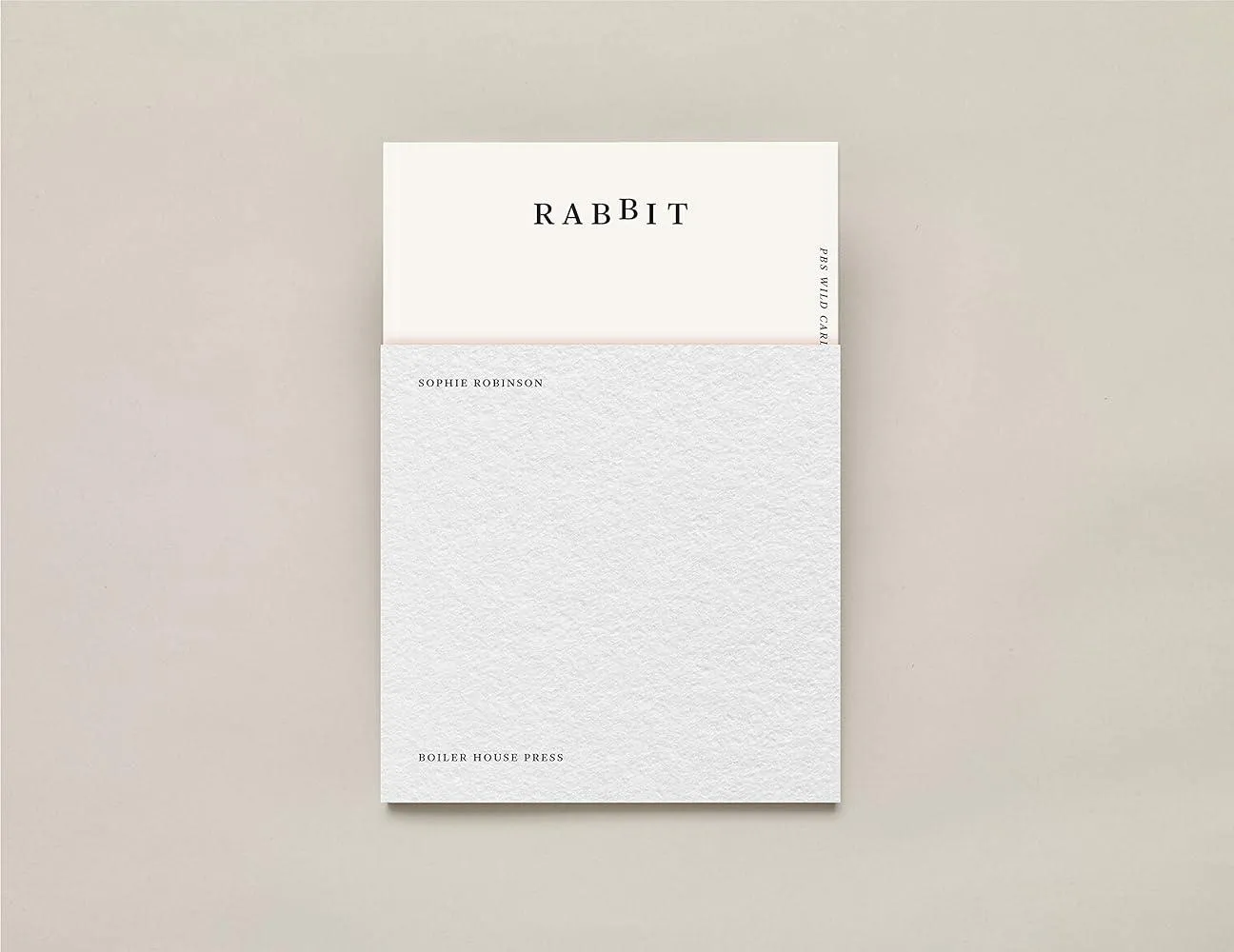 Rabbit