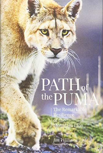 Path of the Puma