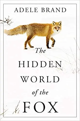 The Hidden World of the Fox