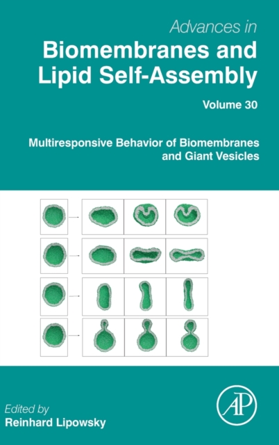 Multiresponsive Behavior of Biomembranes and Giant Vesicles