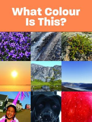 What Colour Is This?