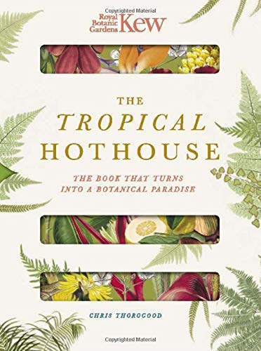 Royal Botanic Gardens Kew - The Tropical Hothouse