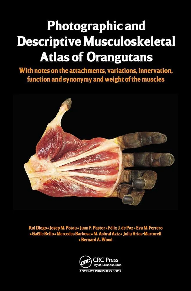 Photographic and Descriptive Musculoskeletal Atlas of Orangutans : with notes on the attachments, variations, innervations, function and synonymy and weight of the muscles