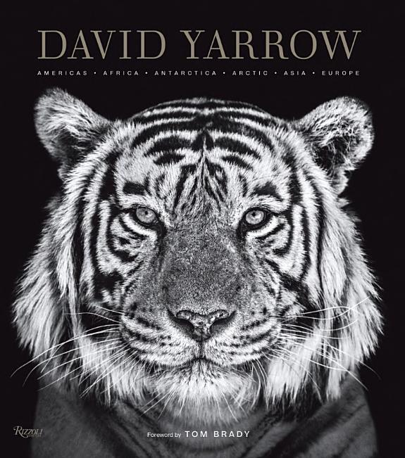 David Yarrow Photography