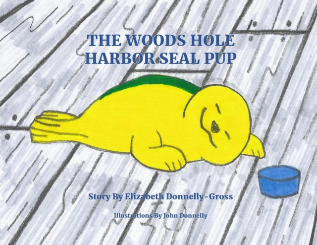 The Woods Hole Harbor Seal Pup