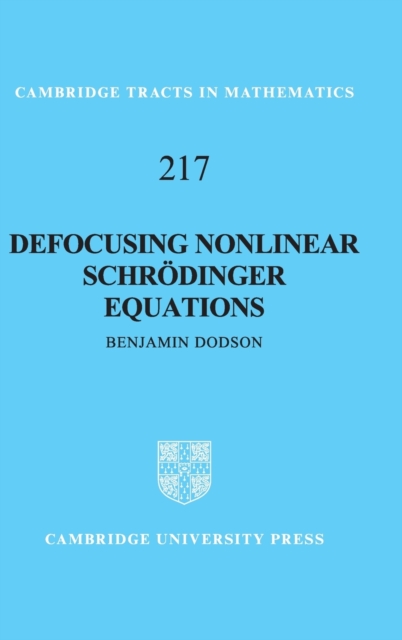 Defocusing Nonlinear Schrodinger Equations