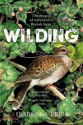 Wilding : The Return of Nature to a British Farm