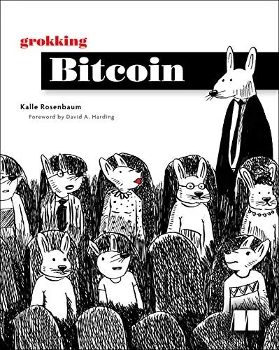 Grokking Bitcoin