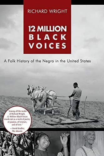 12 Million Black Voices