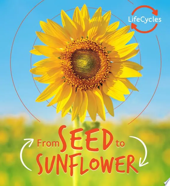 Lifecycles: Seed to Sunflower