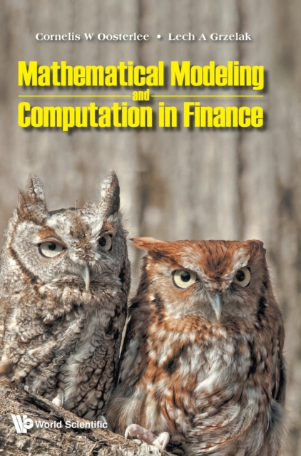 Mathematical Modeling And Computation In Finance