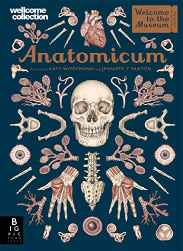 Anatomicum