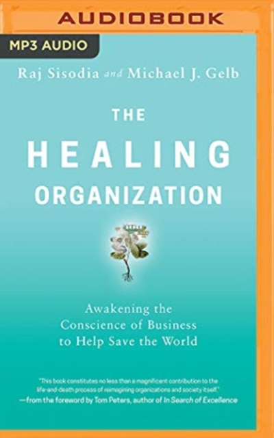 The Healing Organization