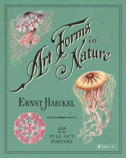 Ernst Haeckel