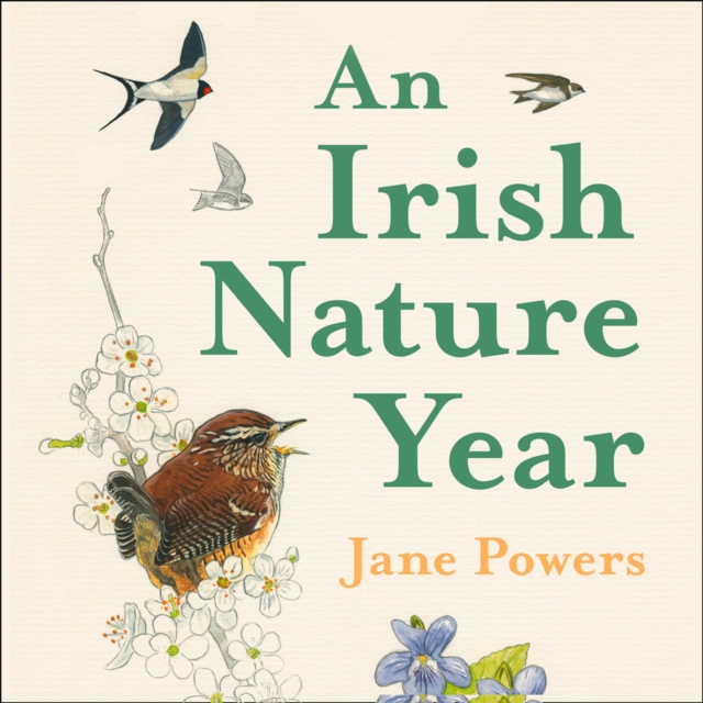 An Irish Nature Year