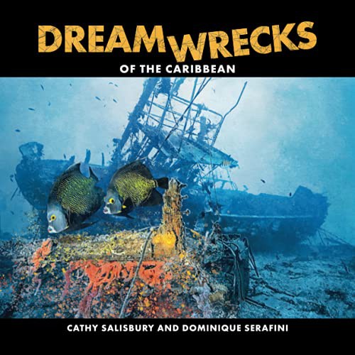 DreamWrecks of the Caribbean