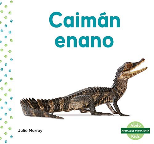 Caiman enano (Dwarf Caiman)