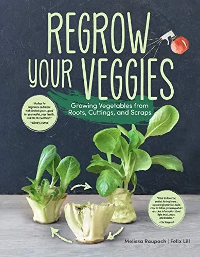 Regrow Your Veggies : Growing Vegetables from Roots, Cuttings, and Scraps