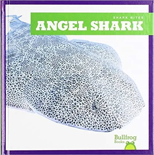 Angel Shark