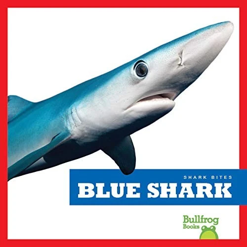 Blue Shark