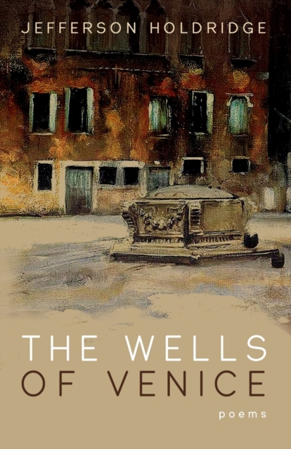 The Wells of Venice