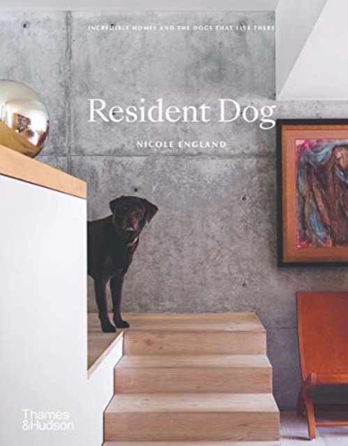 Resident Dog (compact)