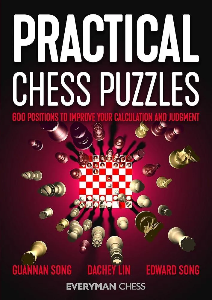 Practical Chess Puzzles : 600 Positions to Improve Your Calculation and Judgment