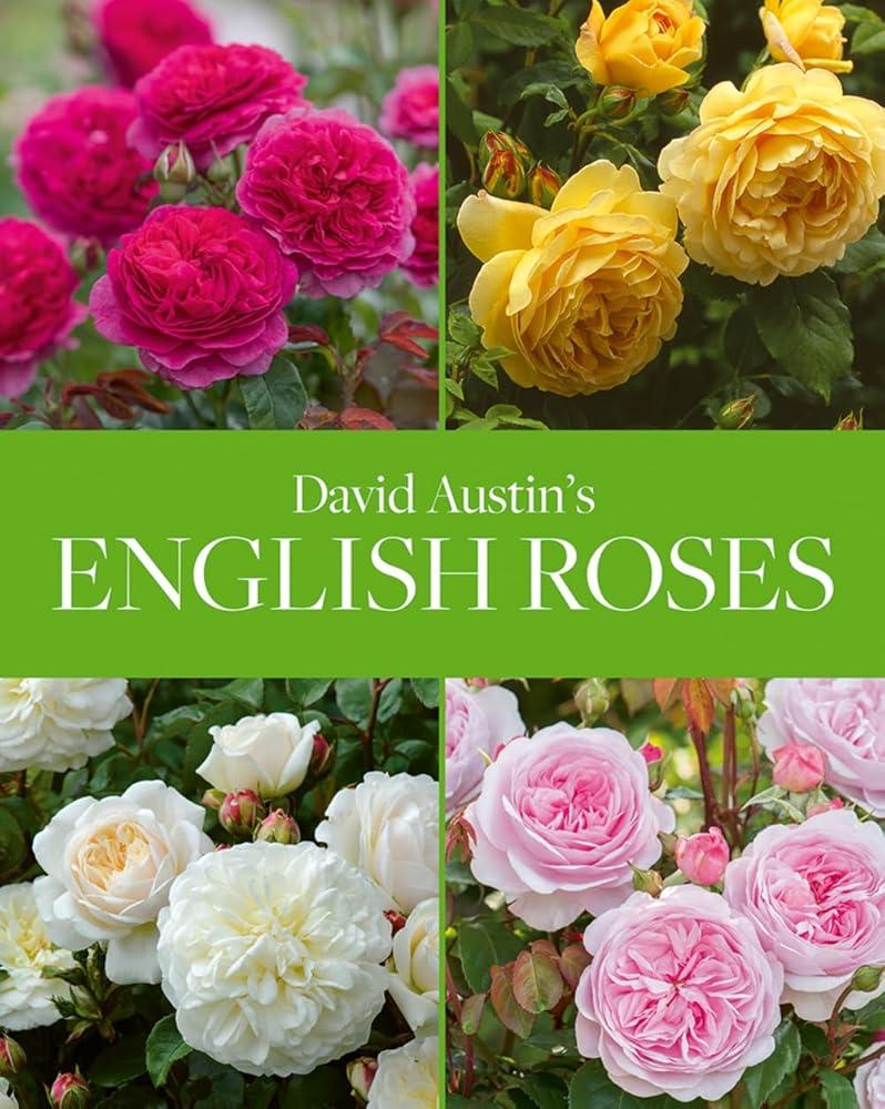 David Austin's English Roses