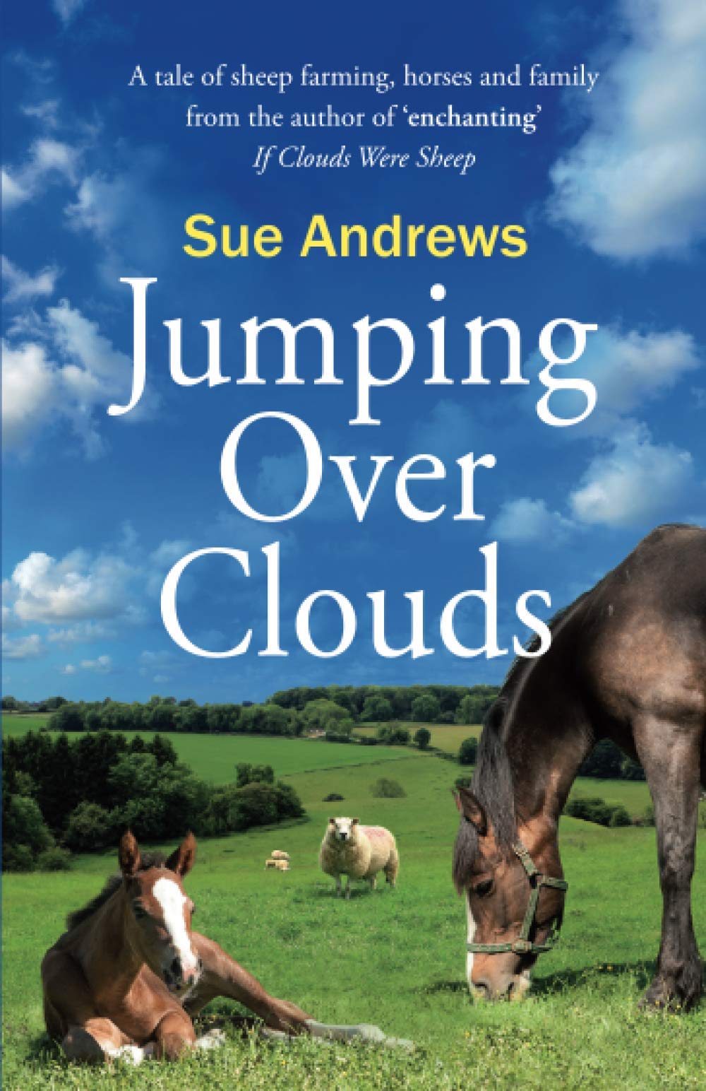 Jumping Over Clouds : 2