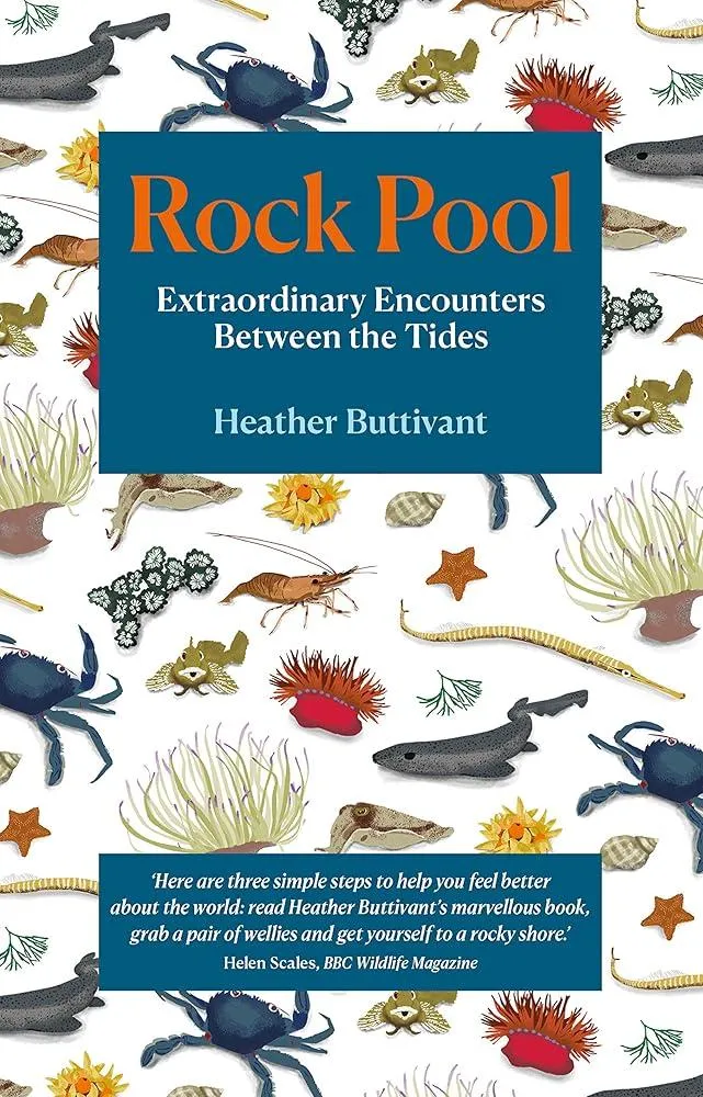 Rock Pool : Extraordinary Encounters Between the Tides