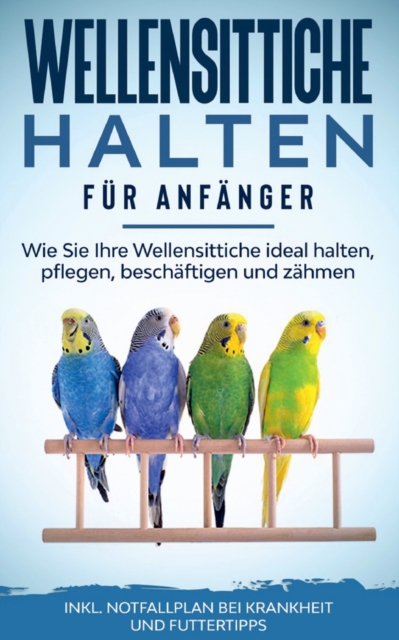 Wellensittiche halten fur Anfanger