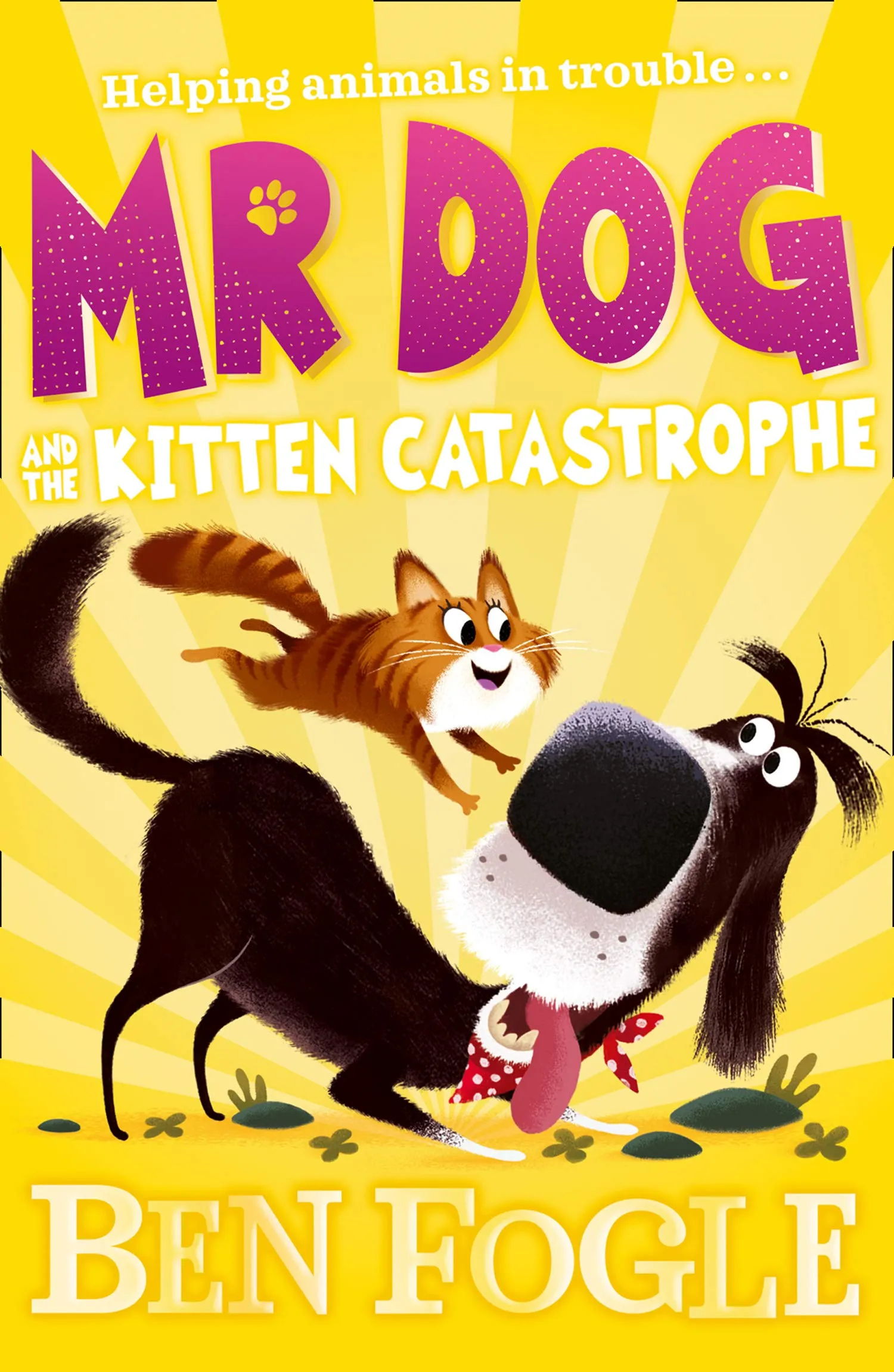 Mr Dog and the Kitten Catastrophe