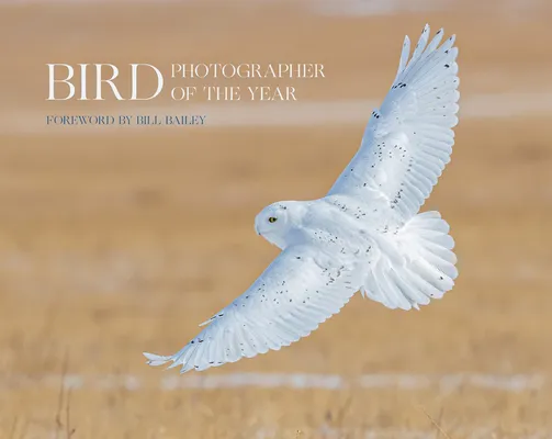 Bird Photographer of the Year : Collection 6