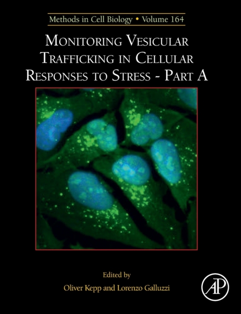 Monitoring Vesicular Trafficking in Cellular Responses to Stress
