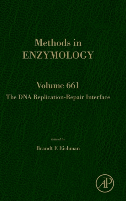 The DNA Replication-Repair Interface