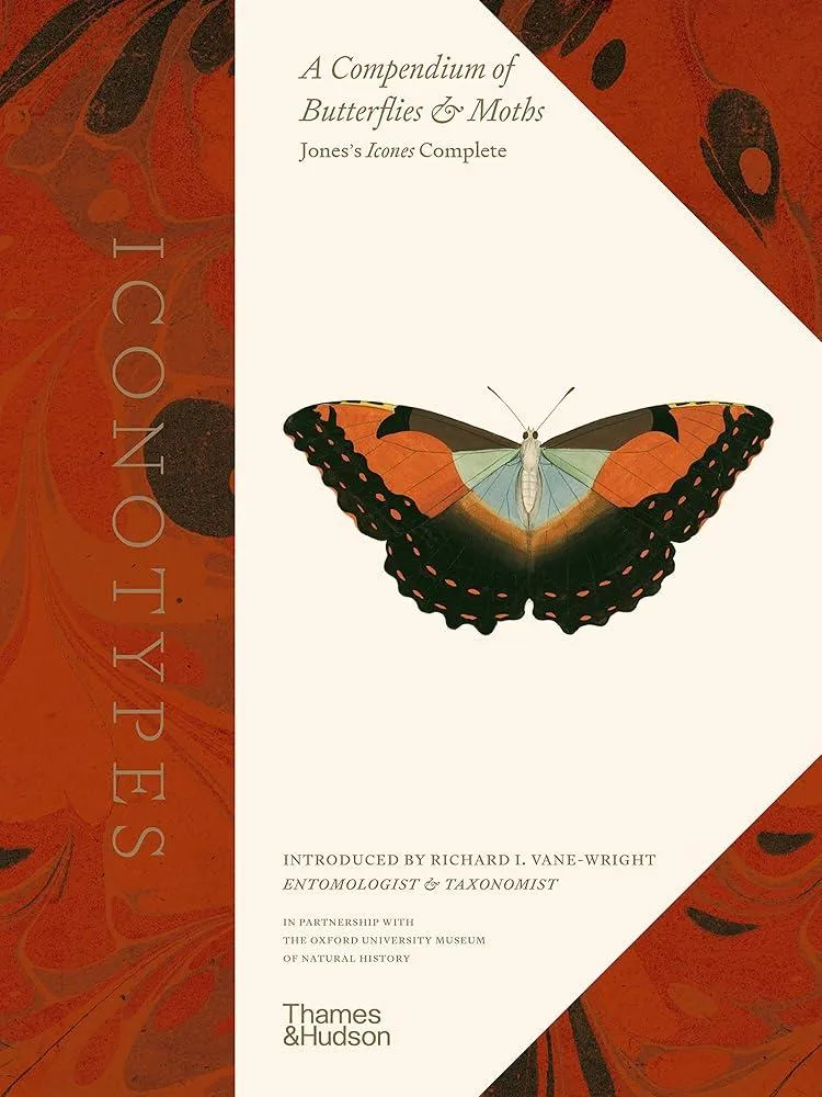 Iconotypes : A compendium of butterflies and moths. Jones’s Icones Complete