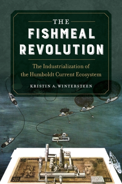 The Fishmeal Revolution